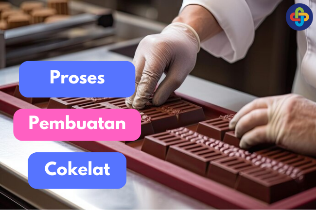 Dari Kebun Kakao ke Coklat Prima: Langkah demi Langkah dalam Pembuatan Coklat